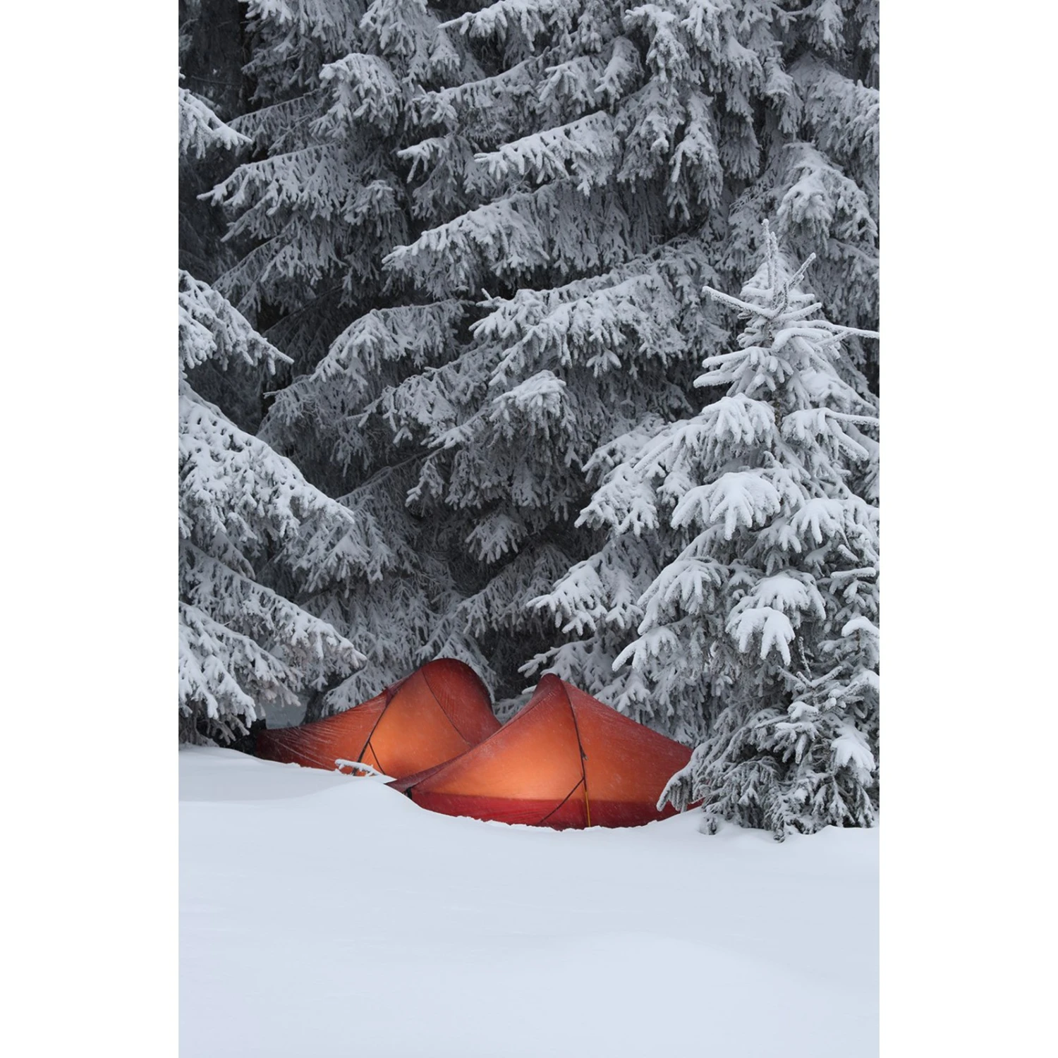 Nordisk Telemark 2 LW Tent - Burnt Red - Image 4