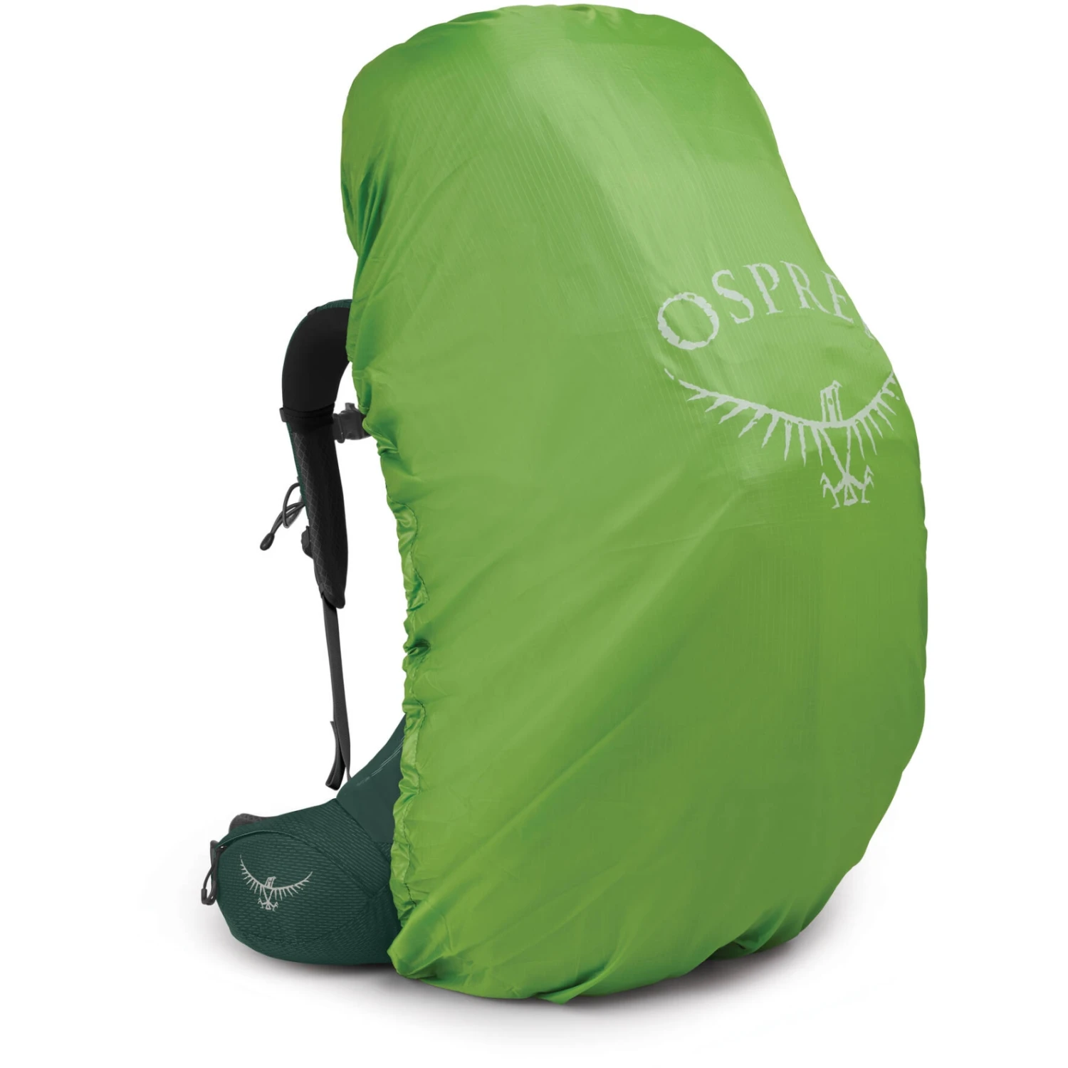 Osprey Aether Plus 85 Backpack - Axo Green - S/M - Image 4
