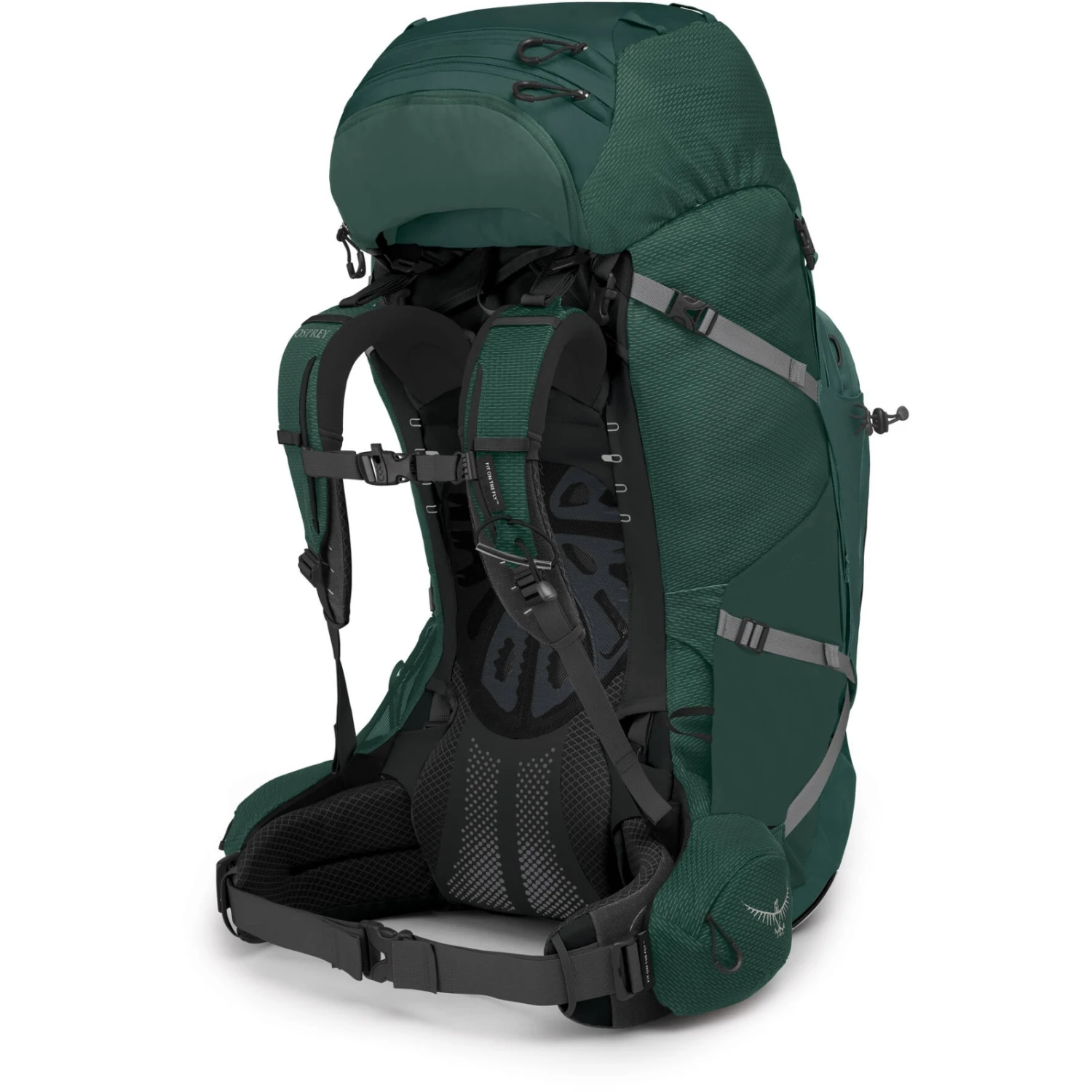 Osprey Aether Plus 85 Backpack - Axo Green - S/M - Image 3